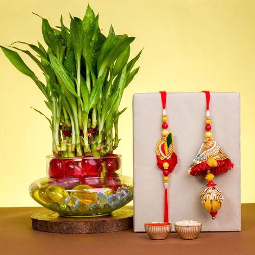 Traditional Bhaiya Bhabhi Rakhi N Lucky Bamboo Set