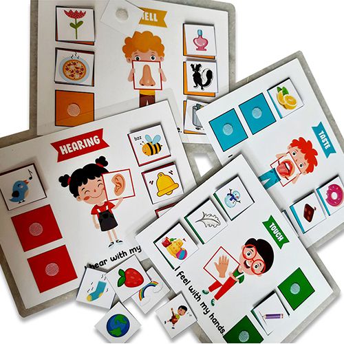 Five Senses Fun Activity Set